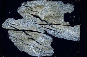 Cross Polarized, S5586