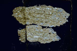 Cross Polarized, S5587