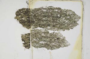 Plane Polarized, S5587