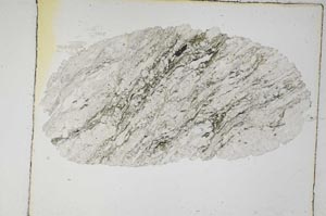 Plane Polarized, S5589