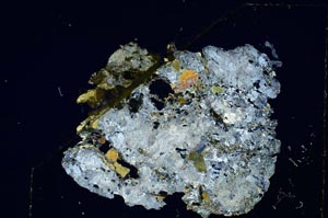 Cross Polarized, S5591