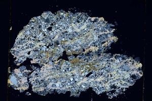 Cross Polarized, S5592