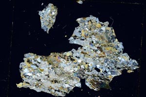 Cross Polarized, S5593