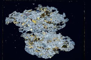 Cross Polarized, S5595