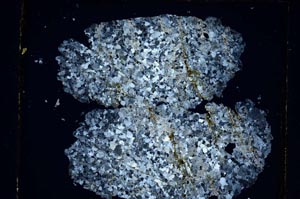 Cross Polarized, S5596