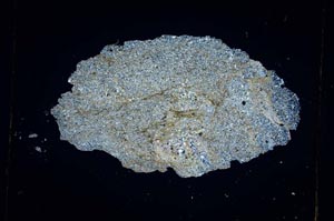 Cross Polarized, S5597