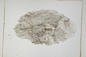 Plane Polarized, S5597