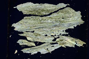 Cross Polarized, S5598