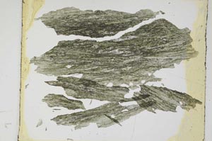 Plane Polarized, S5598