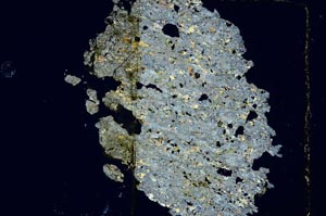 Cross Polarized, S5599