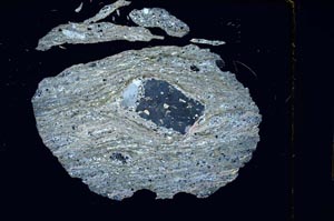 Cross Polarized, S5601