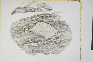 Plane Polarized, S5601