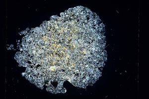 Cross Polarized, S5602