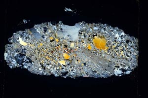 Cross Polarized, S5605