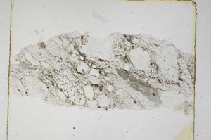 Plane Polarized, S5605