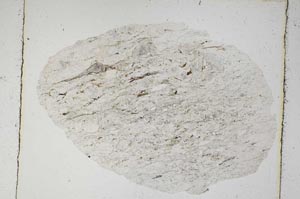 Plane Polarized, S5606