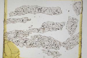 Plane Polarized, S5609