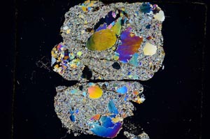 Cross Polarized, S5610