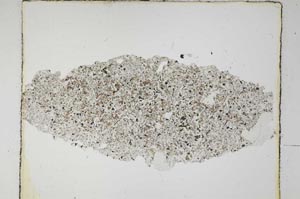 Plane Polarized, S5611