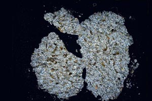 Cross Polarized, S5612