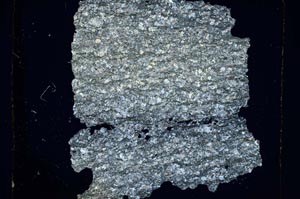 Cross Polarized, S5613