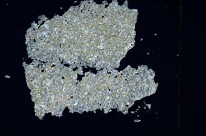 Cross Polarized, S5614