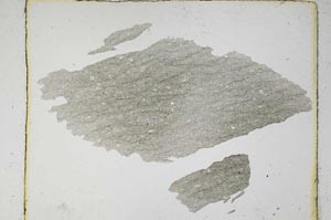 Plane Polarized, S5615