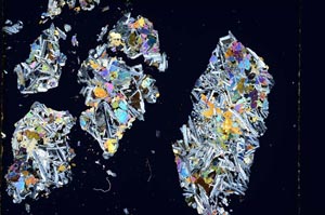 Cross Polarized, S5616