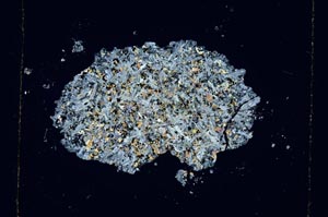 Cross Polarized, S5618