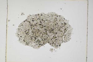 Plane Polarized, S5618