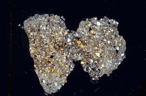 Cross Polarized, S5621