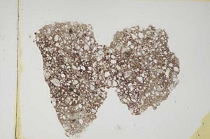 Plane Polarized, S5621