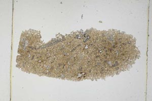 Plane Polarized, S5622