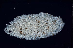 Cross Polarized, S5624