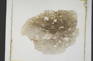 Plane Polarized, S5626