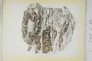 Plane Polarized, S5662