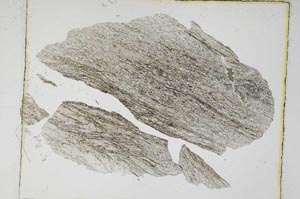Plane Polarized, S5671