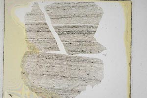 Plane Polarized, S5680