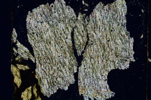 Cross Polarized, S5682