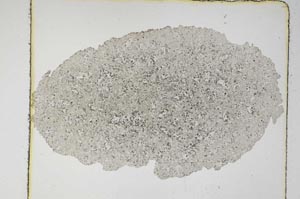 Plane Polarized, S5692