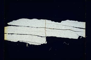 Cross Polarized, S5694