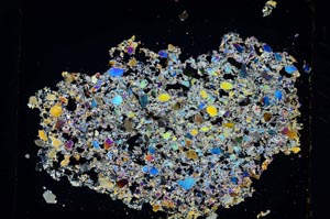 Cross Polarized, S5695