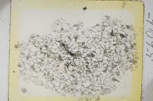 Plane Polarized, S5695