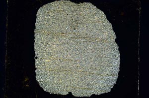 Cross Polarized, S5696