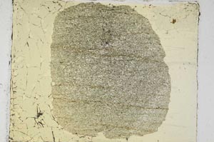 Plane Polarized, S5696