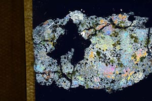 Cross Polarized, S5753