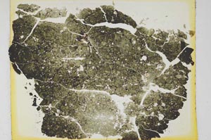 Plane Polarized, S5777