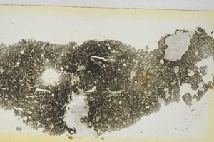 Plane Polarized, S5779