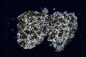 Cross Polarized, S5781