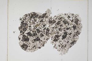 Plane Polarized, S5781